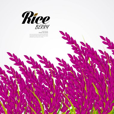 Premium Rice büyük kaliteli tasarım konsept vektör.