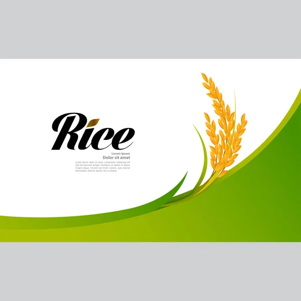 Premium Rice Great Quality Design Concept Vector — Stock Vector