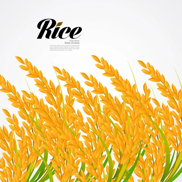 Premium Rice Vettore Del Concetto Design Grande Qualità — Vettoriale Stock