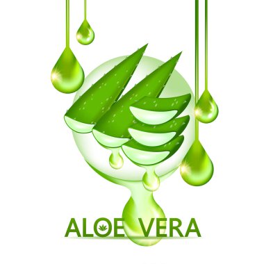 Cilt Bakımı Kozmetik İllüstrasyonu için Aloe Vera Kolajen ve Serum.
