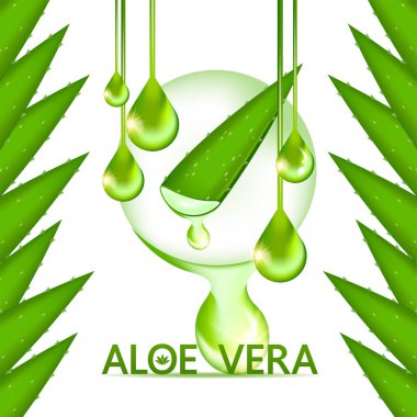 Cilt Bakımı Kozmetik İllüstrasyonu için Aloe Vera Kolajen ve Serum.