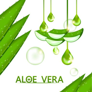 Cilt Bakımı Kozmetik İllüstrasyonu için Aloe Vera Kolajen ve Serum.