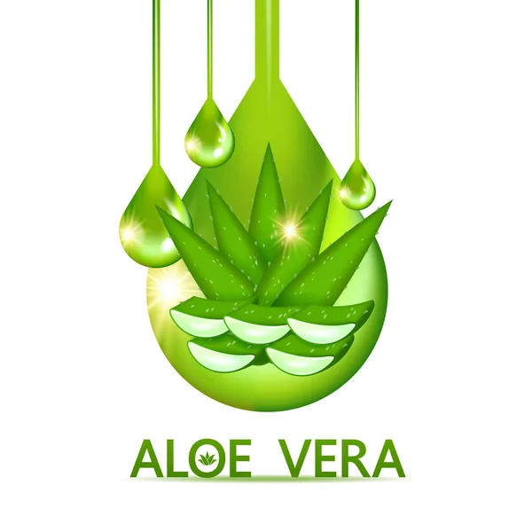 Collagene Aloe Vera Siero Cura Della Pelle Illustrazione Vettoriale Cosmetica — Vettoriale Stock