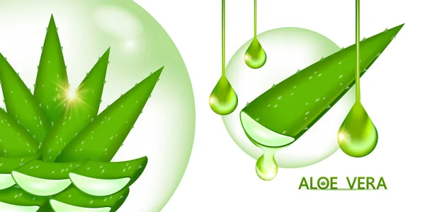 Aloe Vera Colágeno Suero Para Cuidado Piel Ilustración Vectores Cosméticos — Vector de stock