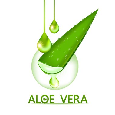 Cilt Bakımı Kozmetik İllüstrasyonu için Aloe Vera Kolajen ve Serum.