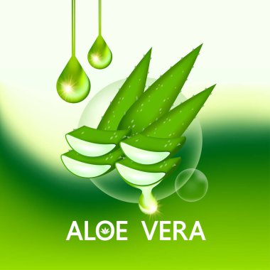 Cilt Bakımı Kozmetik İllüstrasyonu için Aloe Vera Kolajen ve Serum.