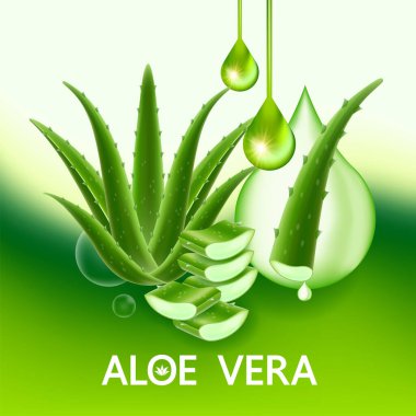 Cilt Bakımı Kozmetik İllüstrasyonu için Aloe Vera Kolajen ve Serum.