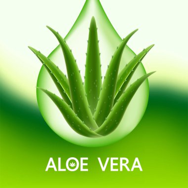 Cilt Bakımı Kozmetik İllüstrasyonu için Aloe Vera Kolajen ve Serum.