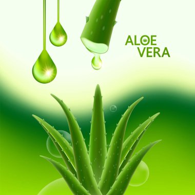 Cilt Bakımı Kozmetik İllüstrasyonu için Aloe Vera Kolajen ve Serum.