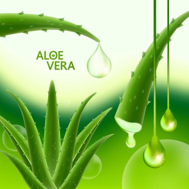 Cilt Bakımı Kozmetik İllüstrasyonu için Aloe Vera Kolajen ve Serum.