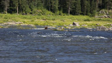 Yenisey Irmağı seyahat