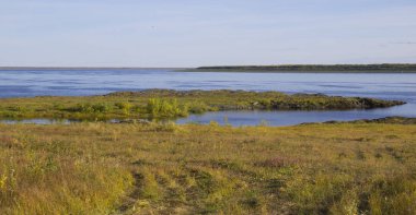 şaşırtıcı doğa Kuzey