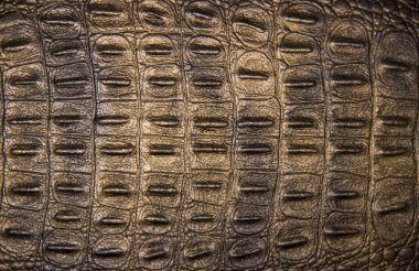 farklı geçmişlere ve dokular koleksiyonu