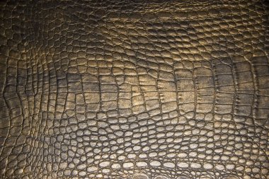 farklı geçmişlere ve dokular koleksiyonu