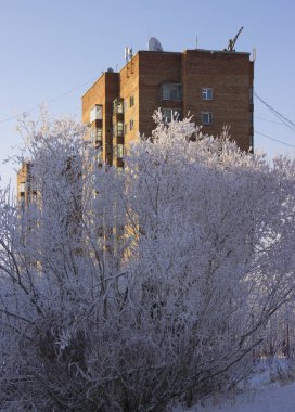 Benim yerli ve en sevdiğim şehir Igarka