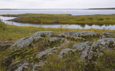 şaşırtıcı doğa Kuzey