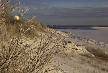 Kış ağaçlar ve bitkiler