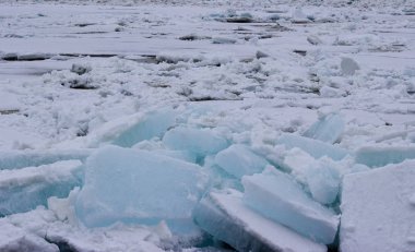Bahar geldi, olacak buz erime ve yakında tüm doğa yaşam için gelecek.