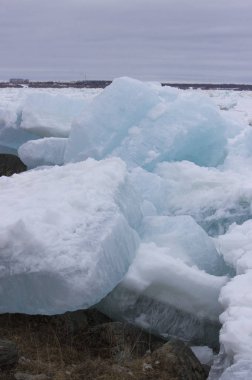 Bahar geldi, olacak buz erime ve yakında tüm doğa yaşam için gelecek.
