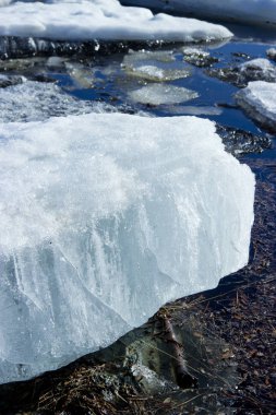 Bahar geldi, olacak buz erime ve yakında tüm doğa yaşam için gelecek.