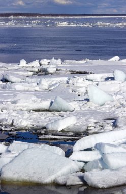 Bahar geldi, olacak buz erime ve yakında tüm doğa yaşam için gelecek.