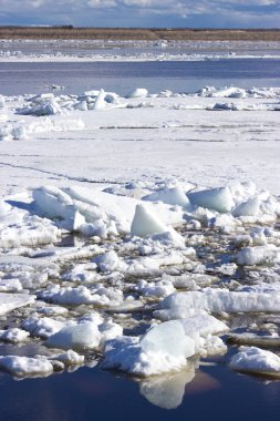 Bahar geldi, olacak buz erime ve yakında tüm doğa yaşam için gelecek.