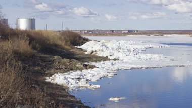 Bahar geldi, olacak buz erime ve yakında tüm doğa yaşam için gelecek.