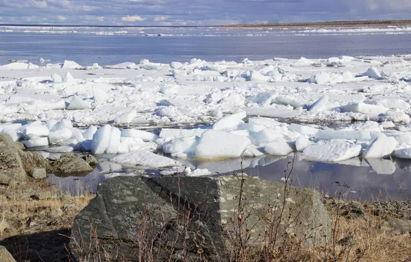 Spring has come, the ice will melt and soon all nature will come to life.