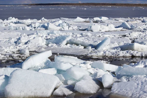 Wiosna Nadeszła Będzie Lód Stopić Wkrótce Cała Przyroda Przyjdzie Życia — Zdjęcie stockowe