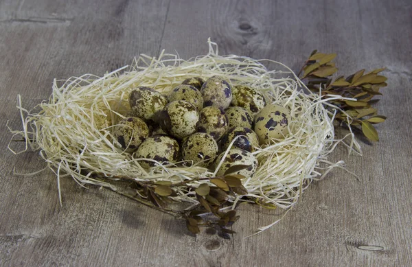 Quail and Easter eggs. — Stock Photo, Image