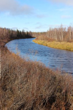 Sonbahar nehir manzarası.