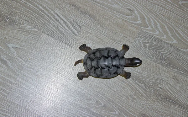 Malá želva s hračkou, která se plazí na parketové podlaze — Stock fotografie