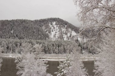 Aniden büyük bir kar yağışı oldu. Kar ağaçları kapladı.