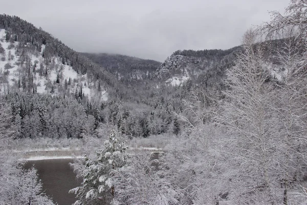 De repente hubo una gran nevada. Nieve cubrió los árboles . — Foto de Stock