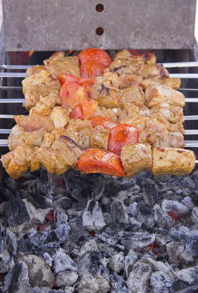 Viande sur brochettes frites sur le gril — Photo