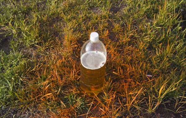 Plastikflasche mit Bier auf dem Rasen — Stockfoto