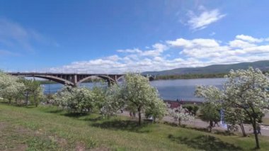 Rusya, Krasnoyarsk, Haziran 2019: Yenisey nehir seti ve Ortak köprü.