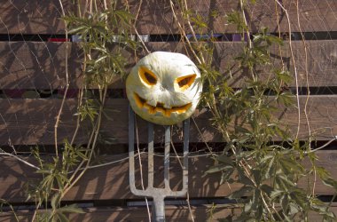 Bir yaba üzerinde Halloween kabak jack fener