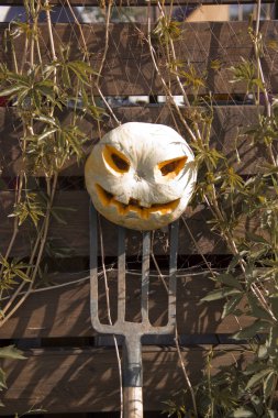 Bir yaba üzerinde Halloween kabak jack fener