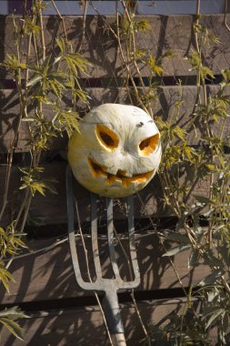 Bir yaba üzerinde Halloween kabak jack fener