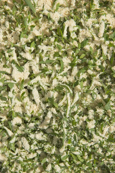 talaş serpilir yeşil çim