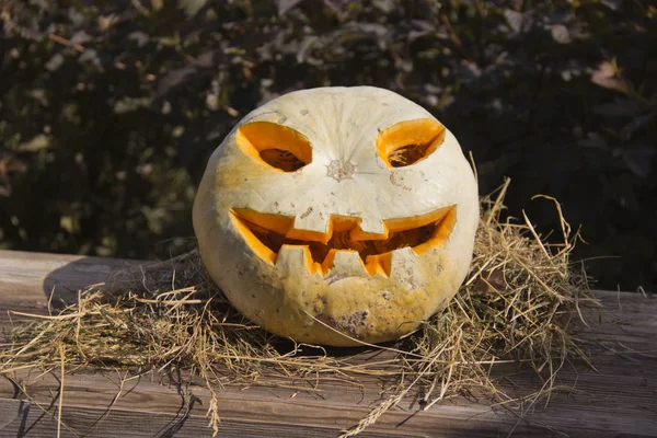 Jack O Fener saman bir yatakta oturan oyma yüzü ile
