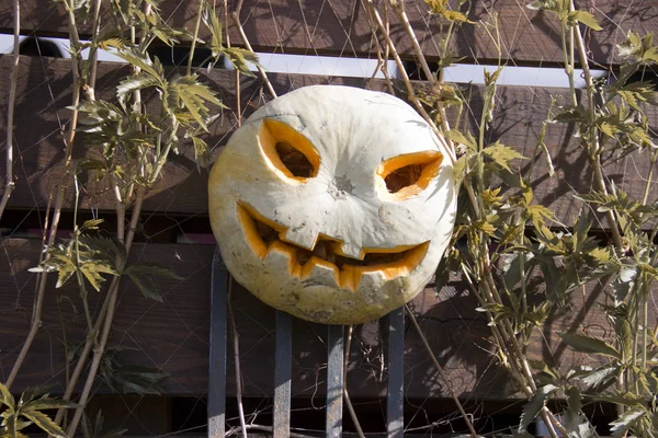 Bir yaba üzerinde Halloween kabak jack fener