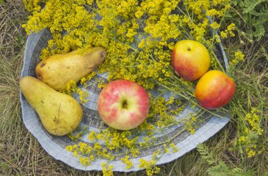Yaz otlarında organik meyve. Doğada taze nektarinler, armutlar ve Elma.