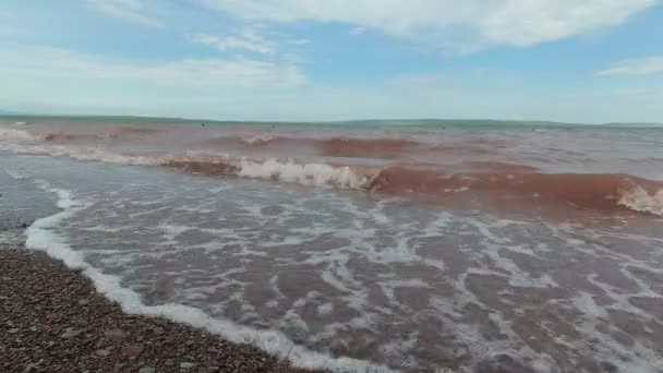 Шторм на озере, ветер гонит волны — стоковое видео