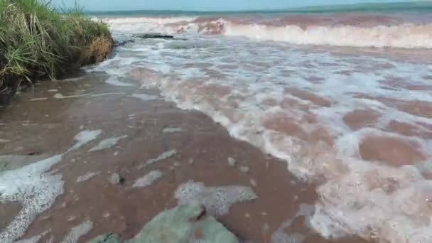 호수에 폭풍, 바람은 파도를 구동 — 비디오