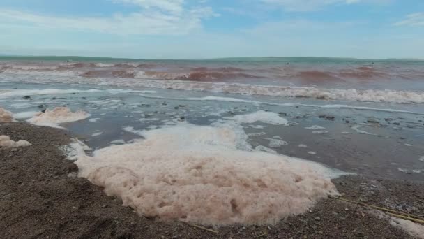 Problemas ambientales, la espuma se forma en el agua — Vídeo de stock