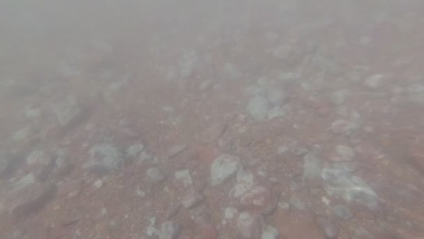 Tiro subaquático de fundo rochoso e lamacento — Vídeo de Stock