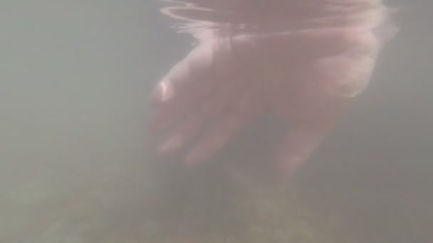 Disparando bajo el agua, la mano se mueve en el agua fangosa — Vídeo de stock