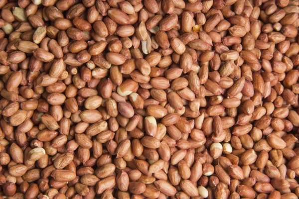 Red grain peanut on the entire background